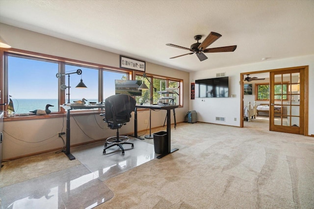 7001 Novak Rd, Racine, WI 53402 - office space featuring a ceiling fan, french doors, and baseboards