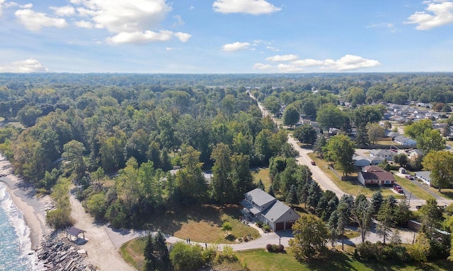 7001 Novak Rd, Racine, WI 53402 - aerial view of a forest