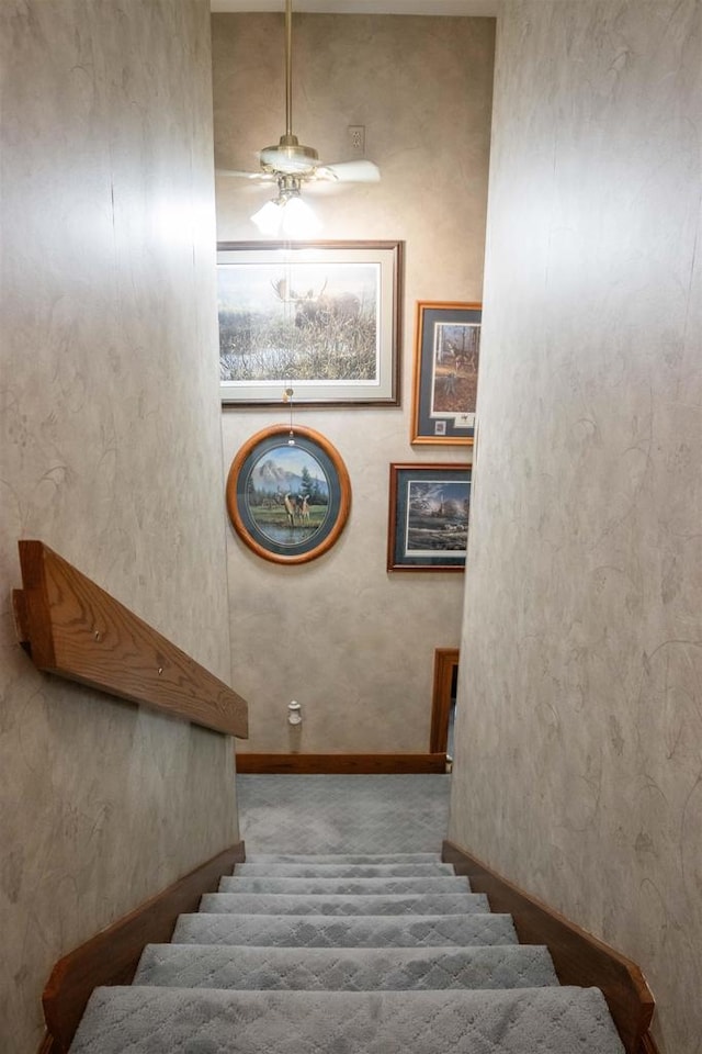 stairs featuring ceiling fan and carpet floors