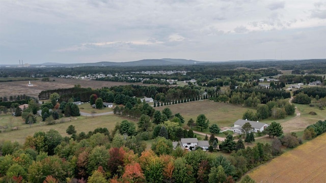 drone / aerial view featuring a mountain view