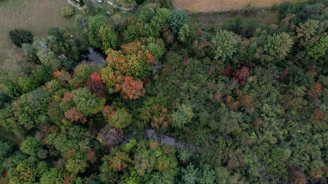 bird's eye view