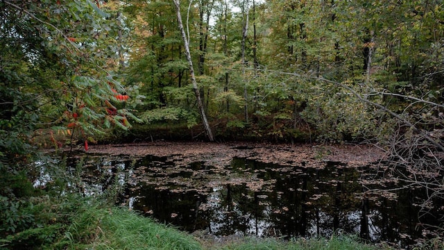 view of nature featuring a water view