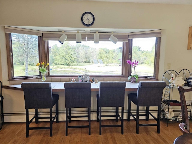 dining area featuring hardwood / wood-style flooring