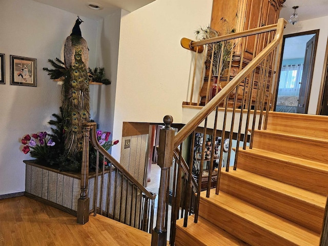 stairs with hardwood / wood-style floors