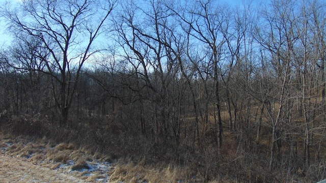 view of local wilderness