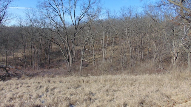 view of local wilderness