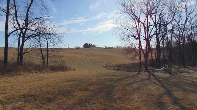 view of local wilderness with a rural view