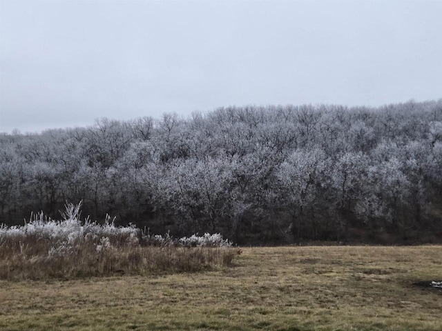 view of nature