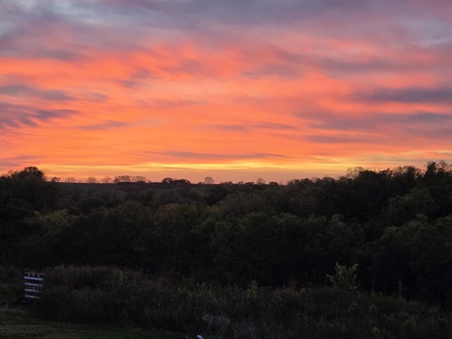 view of nature at dusk