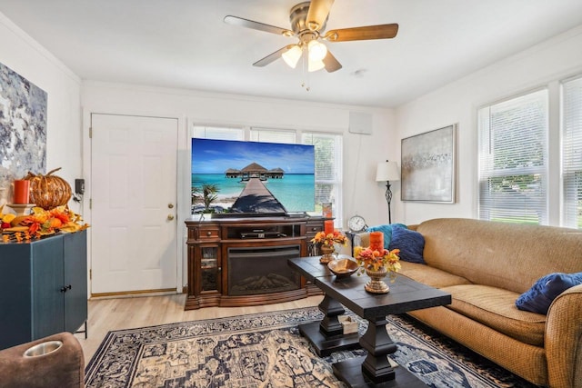 living room featuring light hardwood / wood-style floors, ceiling fan, and crown molding