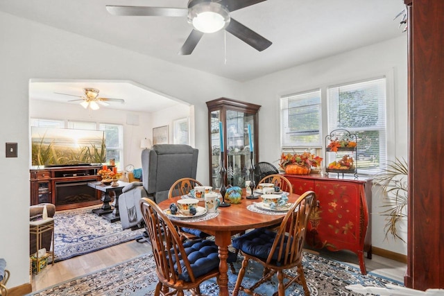 dining room with ceiling fan and hardwood / wood-style flooring