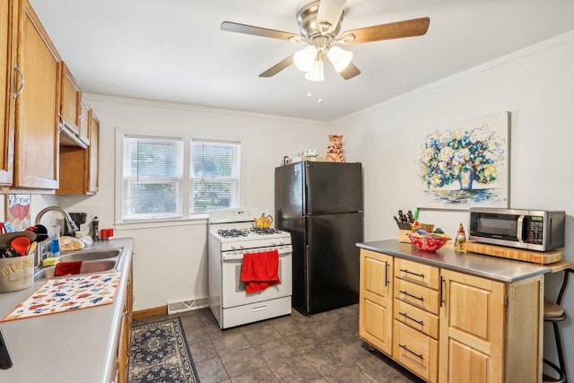 kitchen featuring ceiling fan, crown molding, sink, and white appliances