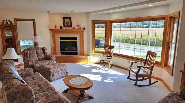 carpeted living room featuring a textured ceiling