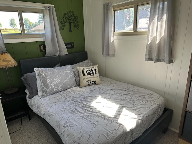 carpeted bedroom with multiple windows