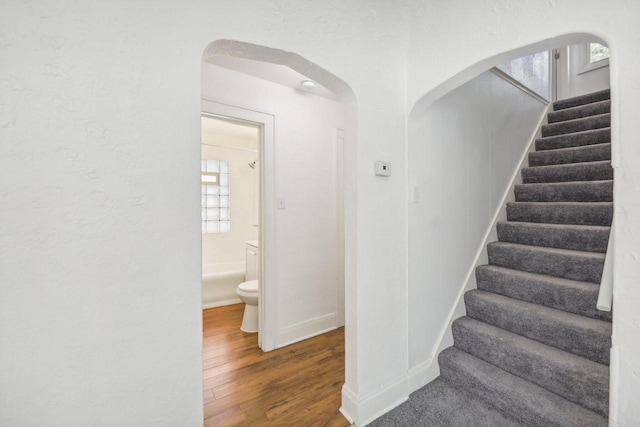 stairway with hardwood / wood-style flooring