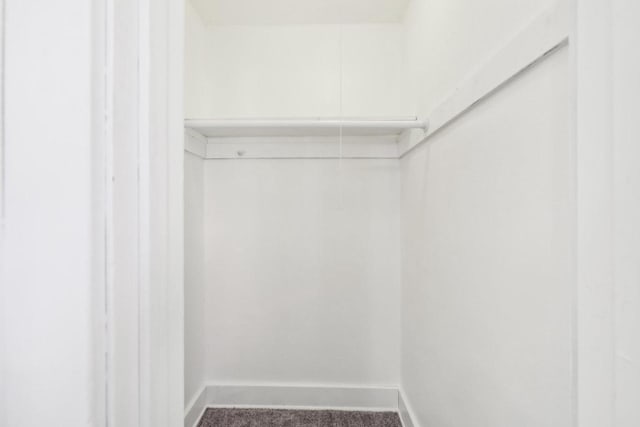 spacious closet with carpet floors