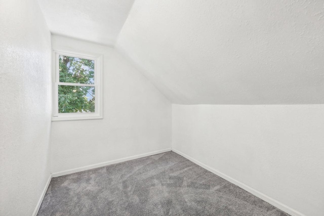 additional living space with lofted ceiling, a textured ceiling, and carpet floors