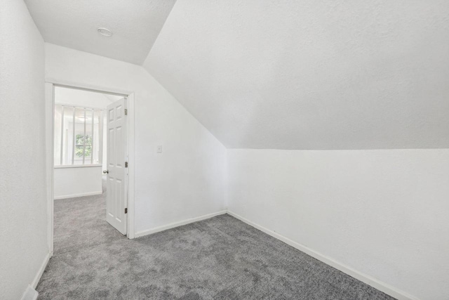 additional living space with light carpet, vaulted ceiling, and a textured ceiling