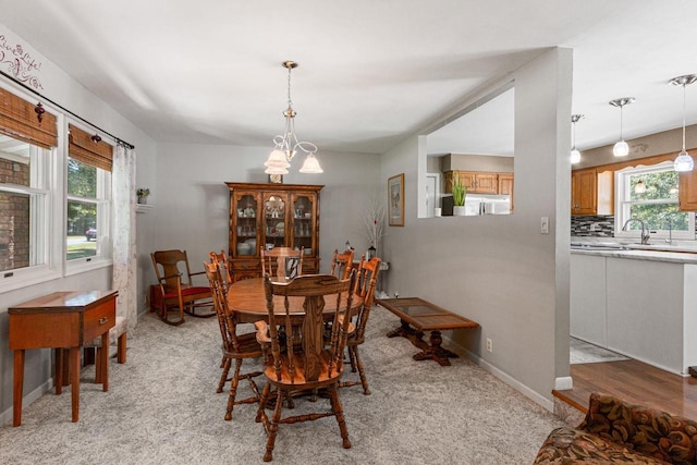 carpeted dining area with plenty of natural light