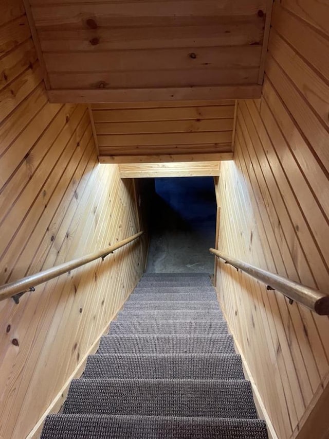 stairway with wooden walls