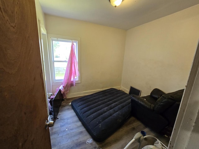 bedroom with hardwood / wood-style floors