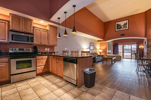 kitchen with sink, light hardwood / wood-style flooring, a towering ceiling, appliances with stainless steel finishes, and decorative light fixtures