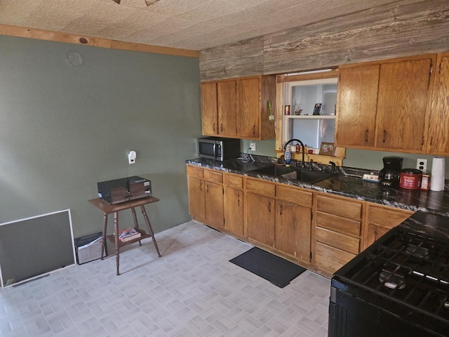 kitchen with black range and sink