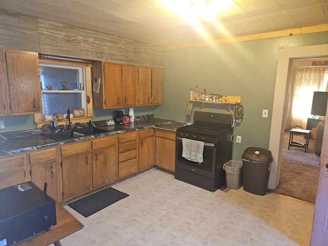 kitchen with black range with electric stovetop and sink