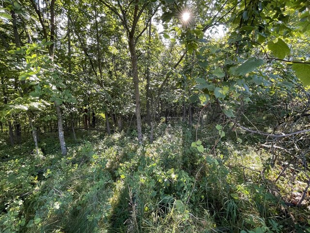 L115STAGHORN Black Forest Dr, La Valle WI, 53941 land for sale