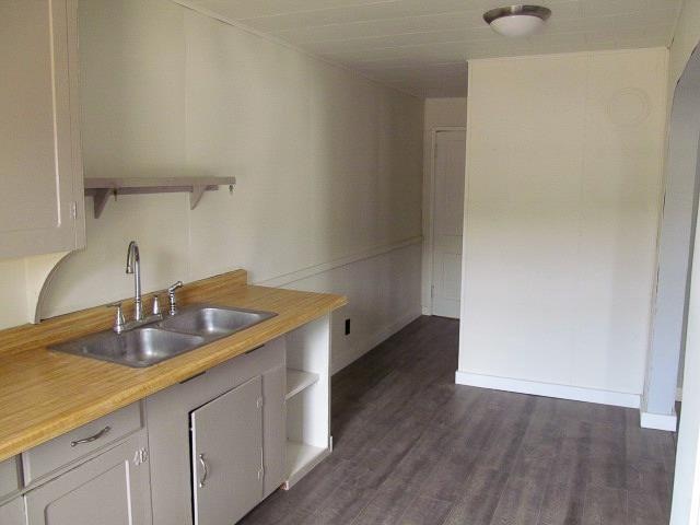 kitchen featuring white cabinets, dark hardwood / wood-style floors, and sink