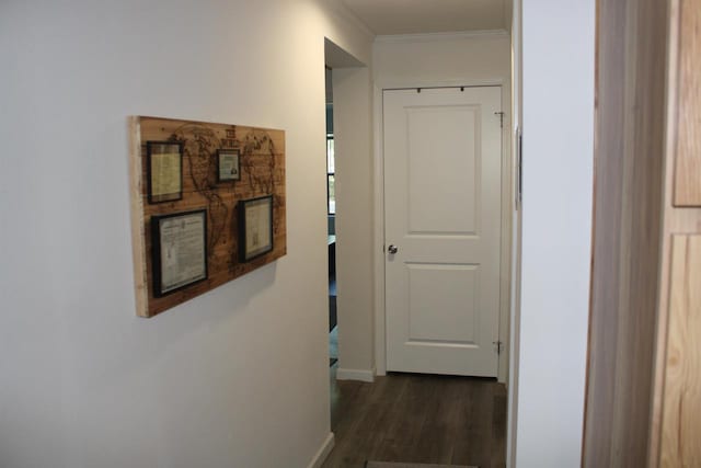 hallway with ornamental molding and dark hardwood / wood-style floors