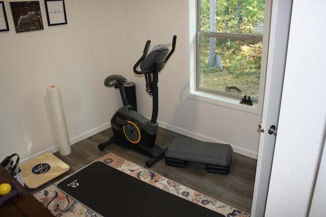 exercise area featuring dark hardwood / wood-style floors