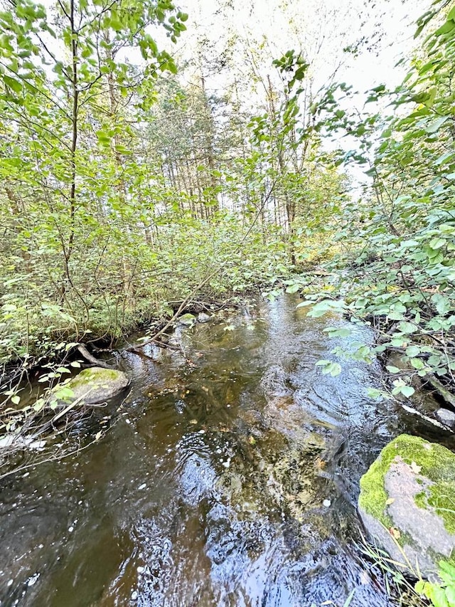 view of local wilderness