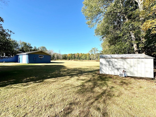 view of yard with a storage shed