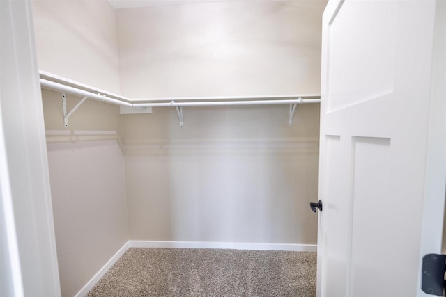 167 E Ash Ln, Milton, WI 53563 - walk in closet featuring carpet flooring