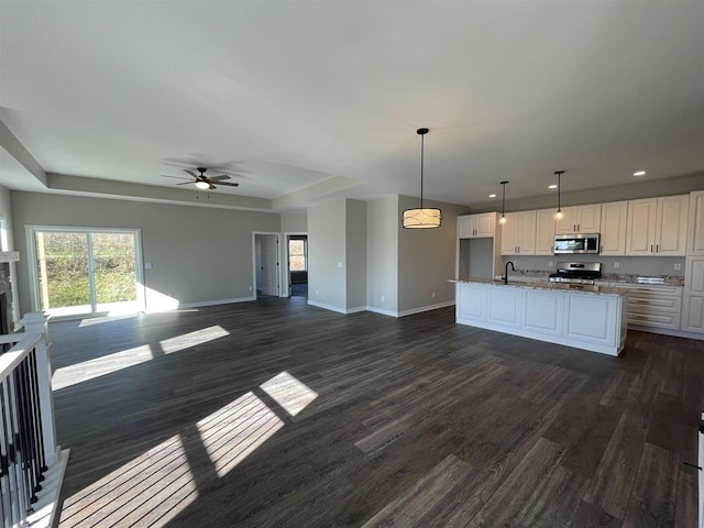 167 E Ash Ln, Milton, WI 53563 - kitchen with appliances with stainless steel finishes, ceiling fan, dark wood-style floors, open floor plan, and recessed lighting