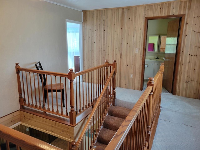 stairs with wood walls and carpet floors