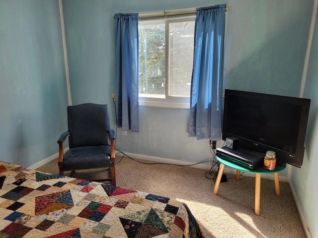 bedroom with carpet floors