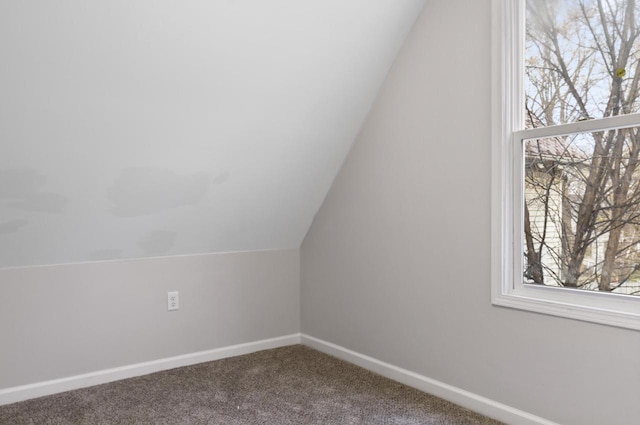 bonus room featuring lofted ceiling and carpet flooring