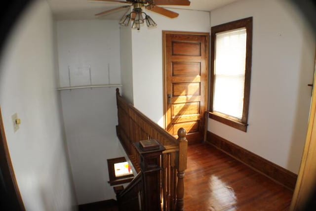 staircase featuring ceiling fan and hardwood / wood-style flooring