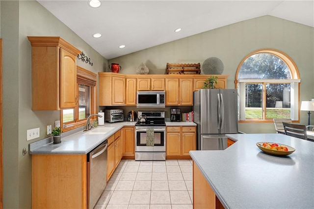 kitchen featuring stainless steel appliances, lofted ceiling, a wealth of natural light, and sink