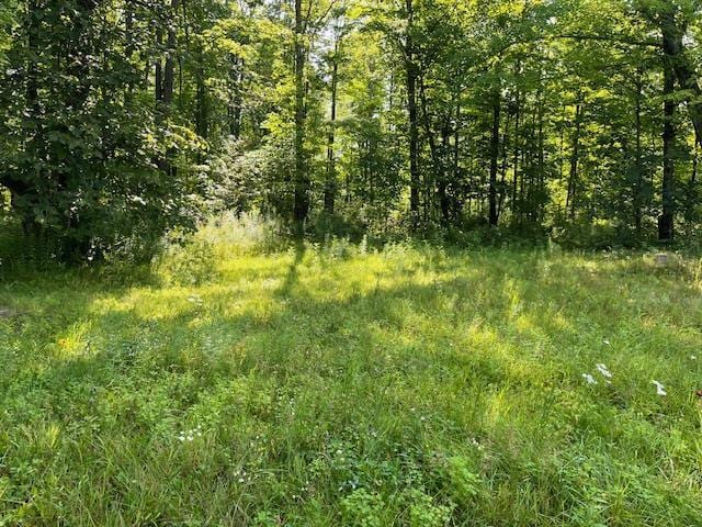 N9061 Schmidt Dr, Pickerel WI, 54465 land for sale