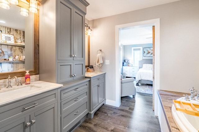 bathroom featuring wood-type flooring and vanity