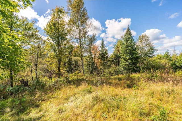 view of local wilderness