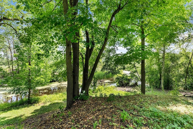 view of nature with a water view