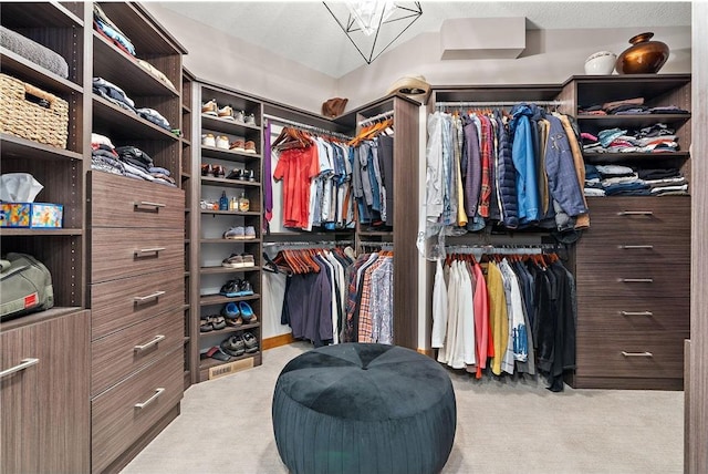 spacious closet with light carpet