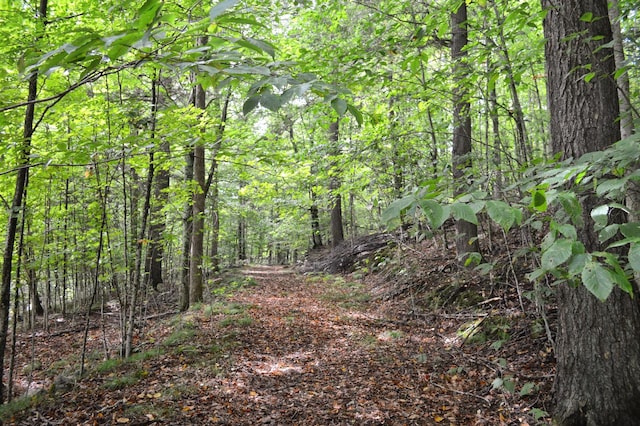 view of landscape