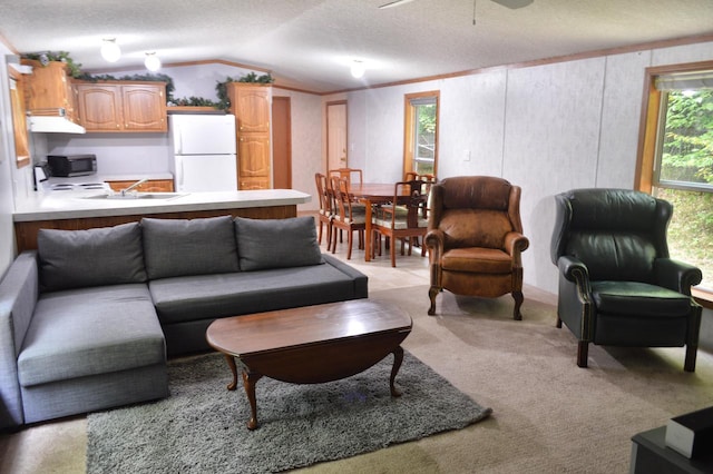 living room with light carpet, a textured ceiling, and vaulted ceiling