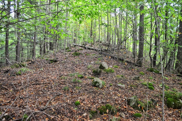 view of landscape