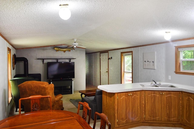 kitchen with a textured ceiling, a healthy amount of sunlight, and sink